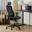 Evan Ergonomic Office Chair with Lumbar Support