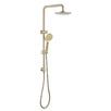 Rosa Gooseneck Twin Shower