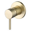 Rosa Wall Mixer