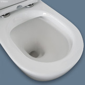 Fienza Alix Rimless P-Trap Back to Wall Toilet Suite