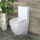 Fienza Alix Rimless P-Trap Back to Wall Toilet Suite