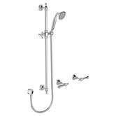 Fienza Lillian Rail Shower Lever Set