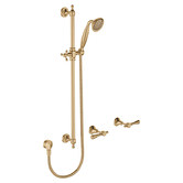 Fienza Lillian Rail Shower Lever Set