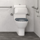 Fienza Accessible Stainless Steel Toilet Back Rest