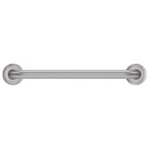 Fienza Accessible 450mm Stainless Steel Grab Rail