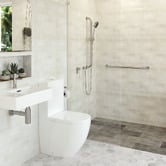Fienza Accessible 450mm Stainless Steel Grab Rail