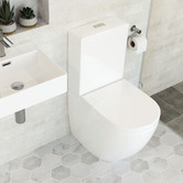 Fienza Alix Rimless S-Trap Back to Wall Toilet Suite With Geberit Cistern