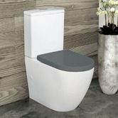 Fienza Alix Rimless Grey Seat P-Trap Back to Wall Toilet Suite