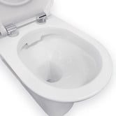 Fienza Delta Care P-Trap Back to Wall Toilet Suite