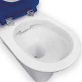 Fienza Delta Care S-Trap Back to Wall Toilet Suite