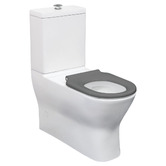 Fienza Delta Care S-Trap Back to Wall Toilet Suite