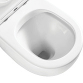 Fienza Alix Slim Seat Wall Faced Toilet Pan With R&amp;T In-Wall Cistern