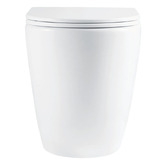 Fienza Alix Slim Seat Wall Faced Toilet Pan With R&amp;T In-Wall Cistern