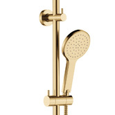 Fienza Kaya Twin Rail Shower