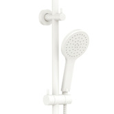 Fienza Kaya Twin Rail Shower