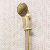 Fienza Kaya Rail Shower