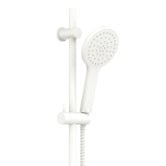 Fienza Kaya Rail Shower
