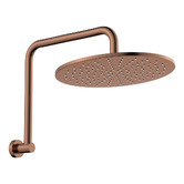 Fienza Empire Slim Gooseneck Shower Arm &amp; Head