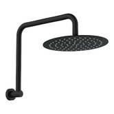 Fienza Kaya Gooseneck Shower Arm &amp; Head