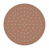 Fienza Kaya 250mm Round Shower Head
