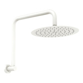 Fienza Kaya Gooseneck Shower Arm &amp; Head