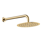 Fienza Kaya Shower Arm &amp; Head