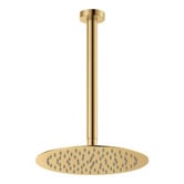 Fienza Kaya Ceiling Shower Arm &amp; Head
