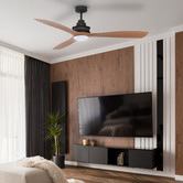 Liteworks Clarence AC Ceiling Fan with LED