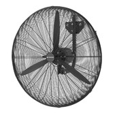 Broome Mercator Wall Fan | Temple & Webster