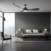 Liteworks Eagle DC Ceiling Fan with LED &amp; Remote Control