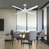 Liteworks Clare AC Ceiling Fan