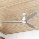 Liteworks Clarence Ceiling Fan