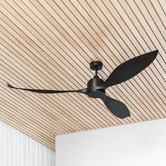 Liteworks Eagle XL DC Ceiling Fan with Remote Control