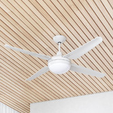 Liteworks Clare AC Ceiling Fan with Light Kit