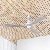 Liteworks Clarence AC Ceiling Fan with LED