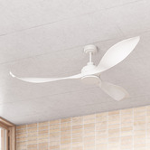 Liteworks Eagle DC Ceiling Fan with Remote Control