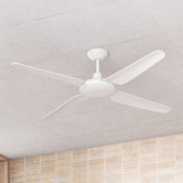 Liteworks Clare AC Ceiling Fan