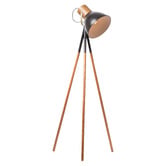 Liteworks Ruston Iron Floor Lamp