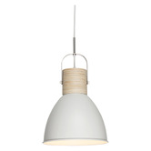 Liteworks Ruston Iron Pendant Light