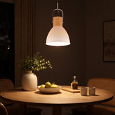 Liteworks Ruston Iron Pendant Light