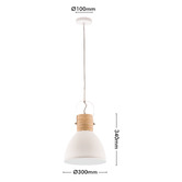 Liteworks Ruston Iron Pendant Light