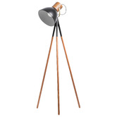 Liteworks Ruston Iron Floor Lamp