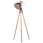 Liteworks Ruston Iron Floor Lamp