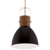 Liteworks Ruston Iron Pendant Light