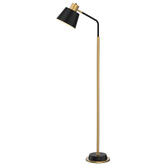 Liteworks Roswell Gold &amp; Black Iron Floor Lamp