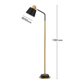 Liteworks Roswell Gold &amp; Black Iron Floor Lamp