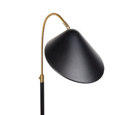 Rexington Home Black Randolph Metal Floor Lamp
