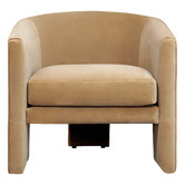 Rexington Home Karsten Velvet Armchair