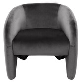 Rexington Home Nia Velvet Armchair