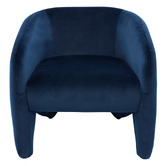 Rexington Home Nia Velvet Armchair